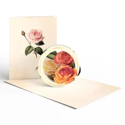 Lovepop Value Packs|Just Because|Beautiful Botanicals Box Set (Assorted 12-Pack): Paperpop® Card