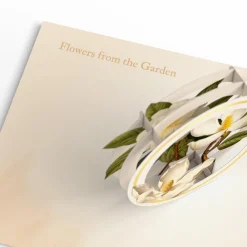 Lovepop Value Packs|Just Because|Beautiful Botanicals Box Set (Assorted 12-Pack): Paperpop® Card
