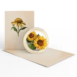 Lovepop Value Packs|Just Because|Beautiful Botanicals Box Set (Assorted 12-Pack): Paperpop® Card