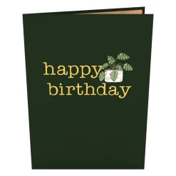 Lovepop Greeting Cards|Birthday|Birthday Houseplants Pop-Up Card
