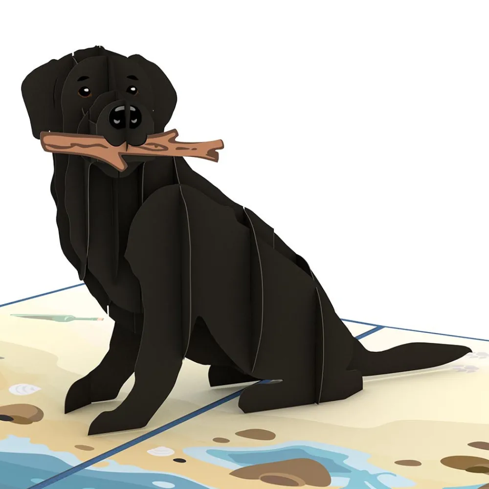 Lovepop Greeting Cards|Just Because|Black Lab Pop-Up Card