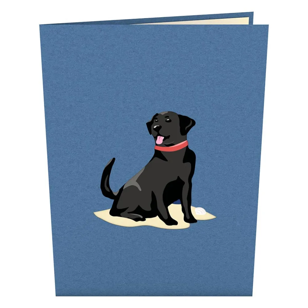 Lovepop Greeting Cards|Just Because|Black Lab Pop-Up Card