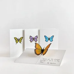 Lovepop Notecards|Get Well|Butterfly Notecards (Assorted 4-Pack)