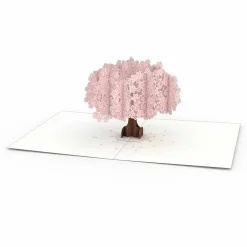 Lovepop Notecards|Just Because|Cherry Blossom Notecards (4-Pack)