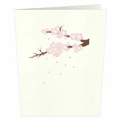 Lovepop Notecards|Just Because|Cherry Blossom Notecards (4-Pack)