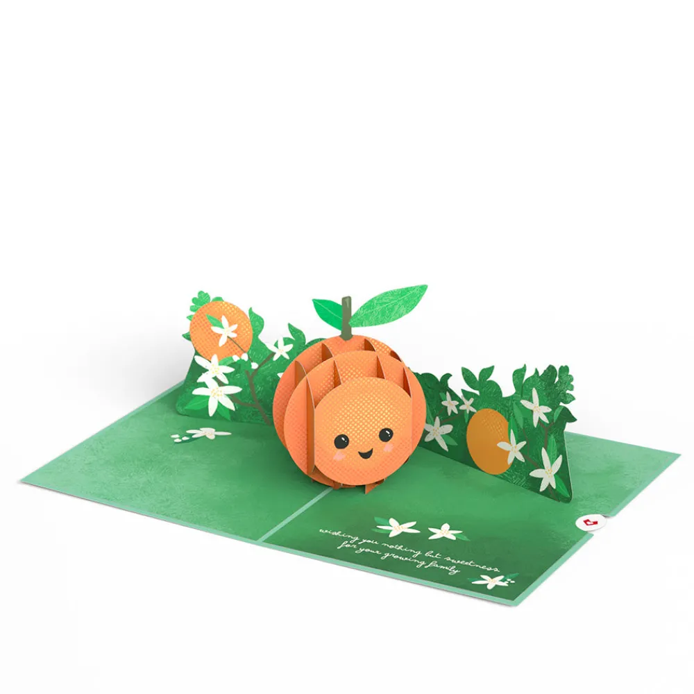 Lovepop Baby|Congratulations|Congratulations On Your Cutie New Baby Pop-Up Card