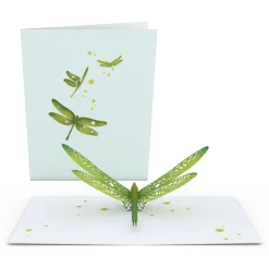 Lovepop Greeting Cards|Just Because|Dragonfly: Paperpop® Card