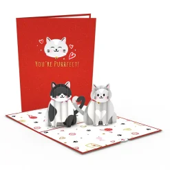 Lovepop Value Packs|Valentine'S Day 2/14|Dynamic Duos Love 3-Pack
