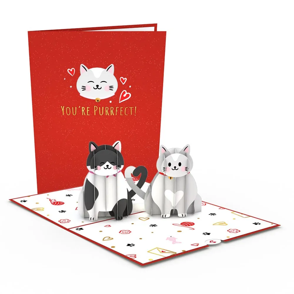 Lovepop Value Packs|Valentine'S Day 2/14|Dynamic Duos Love 3-Pack