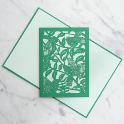 Lovepop Value Packs|Notecards|Everyday Garden Pack (Assorted 12-Pack): Moments™ Card