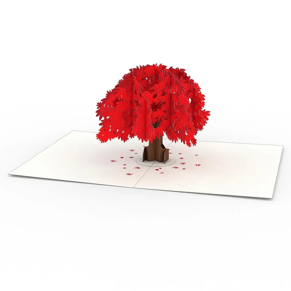 Lovepop Notecards|Congratulations|Garden Notecards (Assorted 4-Pack)