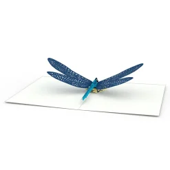 Lovepop Notecards|Congratulations|Garden Notecards (Assorted 4-Pack)