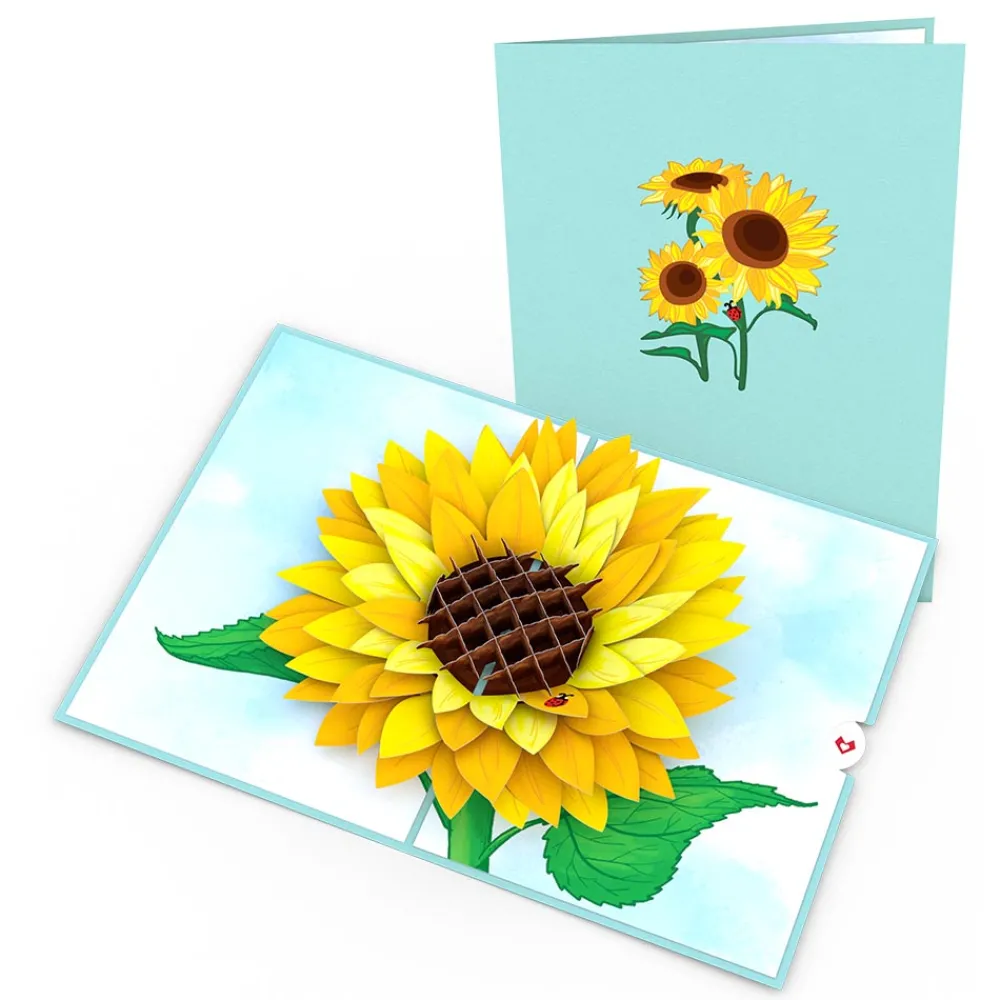 Lovepop Value Packs|Just Because|Garden 12-Pack