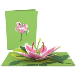 Lovepop Value Packs|Just Because|Garden 12-Pack Classic