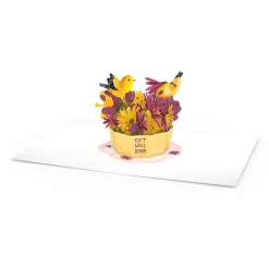 Lovepop Get Well|Get Well Soon Bird Paperpop® Card