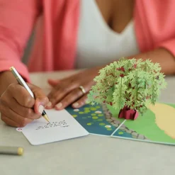 Lovepop Greeting Cards|Just Because|Green Maple Tree Pop-Up Card