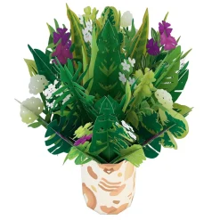 Lovepop Card & Gift Bundles|Birthday|Greenhouse Plant Bundle