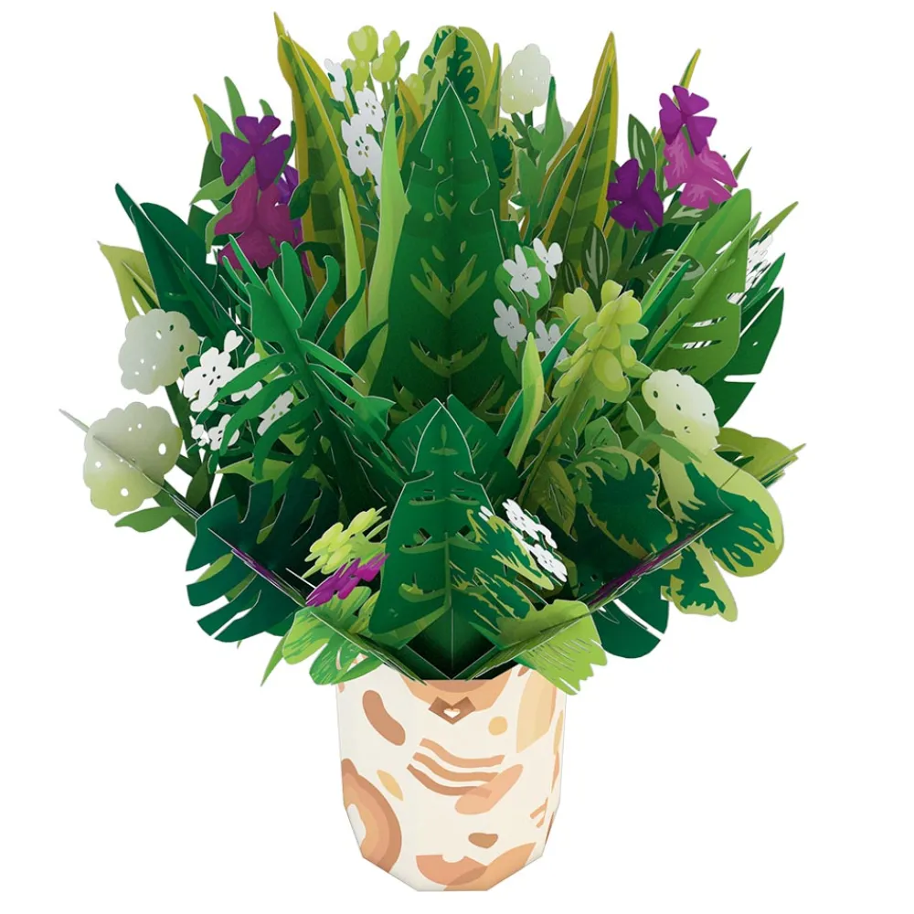 Lovepop Card & Gift Bundles|Birthday|Greenhouse Plant Bundle