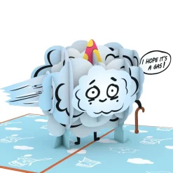 Lovepop Birthday|Happy Birthday to an Old Fart Pop-Up Card and Sentiment Set