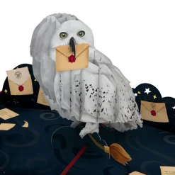 Lovepop Pop-Up Bouquets|Card & Gift Bundles|Harry Potter™ Hedwig™ Birthday Pop-Up Card & Flower Buds Bouquet Bundle