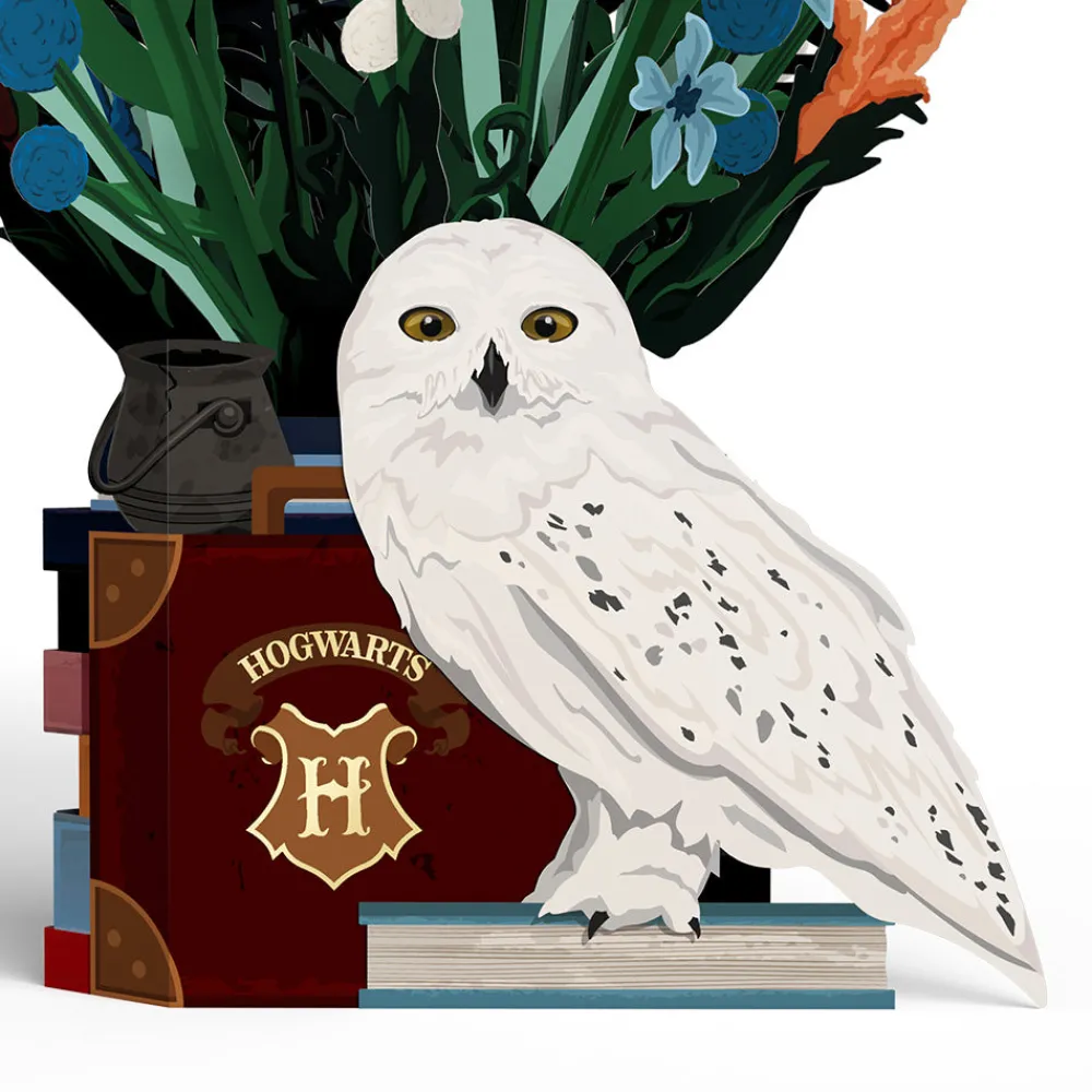 Lovepop Pop-Up Bouquets|Flower Buds|Harry Potter™ Hedwig™ Flower Buds Bouquet