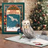 Lovepop Greeting Cards|Christmas 12/25|Harry Potter™ Hedwig™ Holiday Magic Pop-Up Card