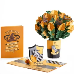 Lovepop Card & Gift Bundles|Birthday|Harry Potter™ Hufflepuff™ Birthday Bundle