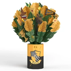 Lovepop Card & Gift Bundles|Birthday|Harry Potter™ Hufflepuff™ Birthday Bundle