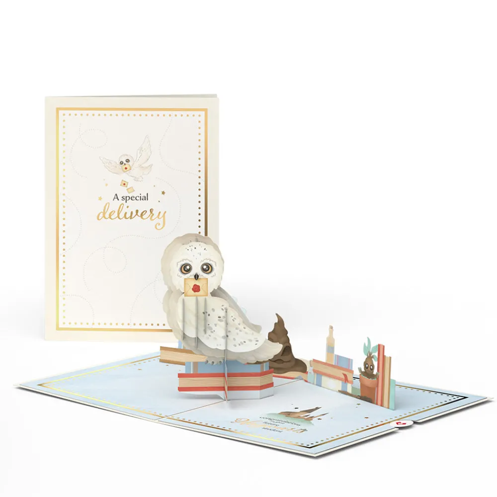 Lovepop Baby|Congratulations|Harry Potter™ Special Delivery Baby Pop-Up Card