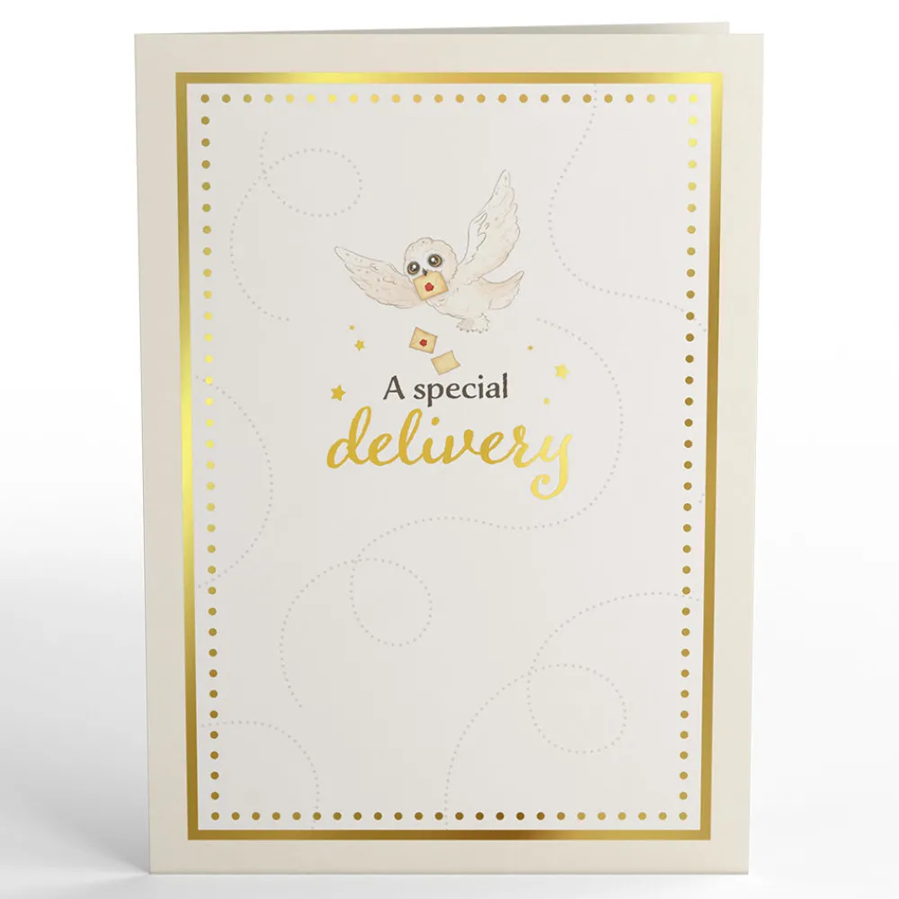Lovepop Baby|Congratulations|Harry Potter™ Special Delivery Baby Pop-Up Card