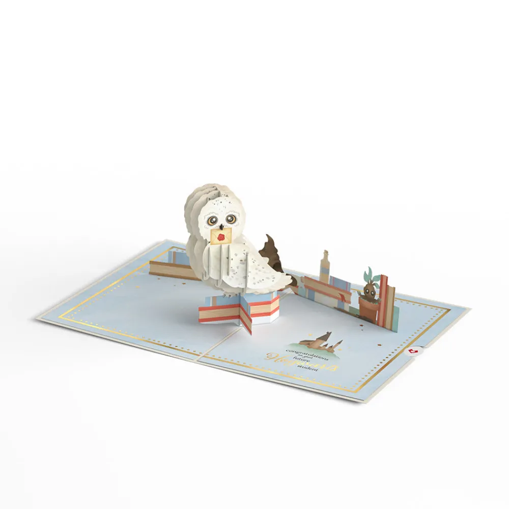 Lovepop Baby|Congratulations|Harry Potter™ Special Delivery Baby Pop-Up Card