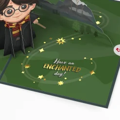 Lovepop Birthday|Harry Potter|Harry Potter™ The Chosen One Birthday Pop-Up Card