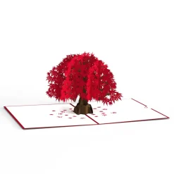 Lovepop Greeting Cards|Anniversary|Japanese Maple Pop-Up Card