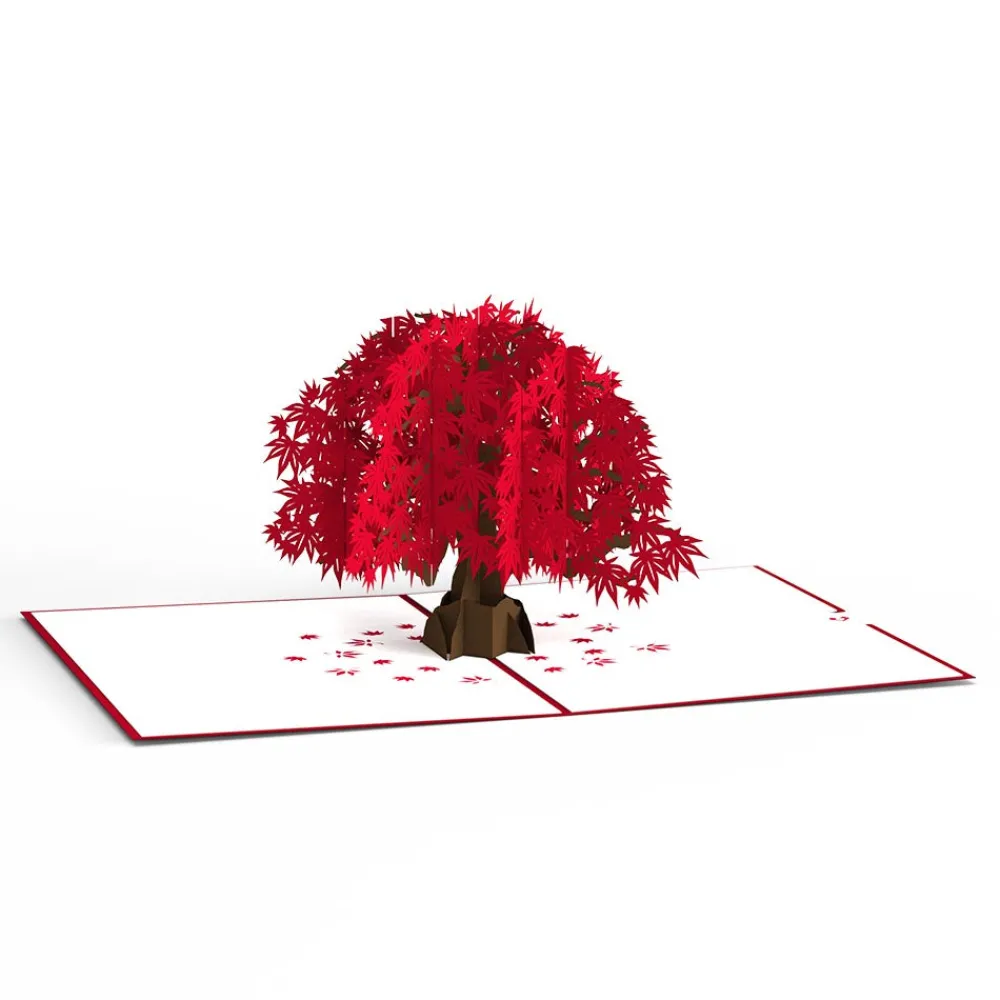 Lovepop Greeting Cards|Anniversary|Japanese Maple Pop-Up Card