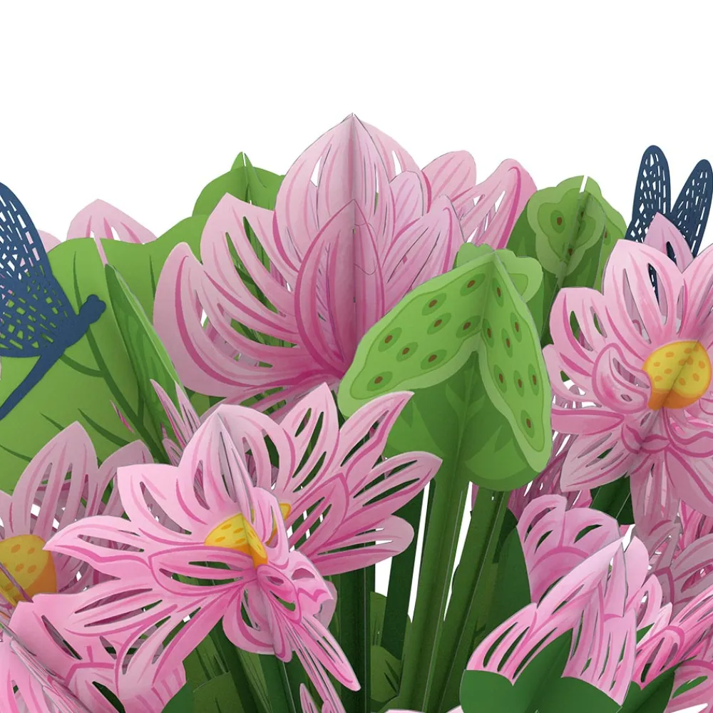 Lovepop Pop-Up Bouquets|Congratulations|Lotus Bouquet