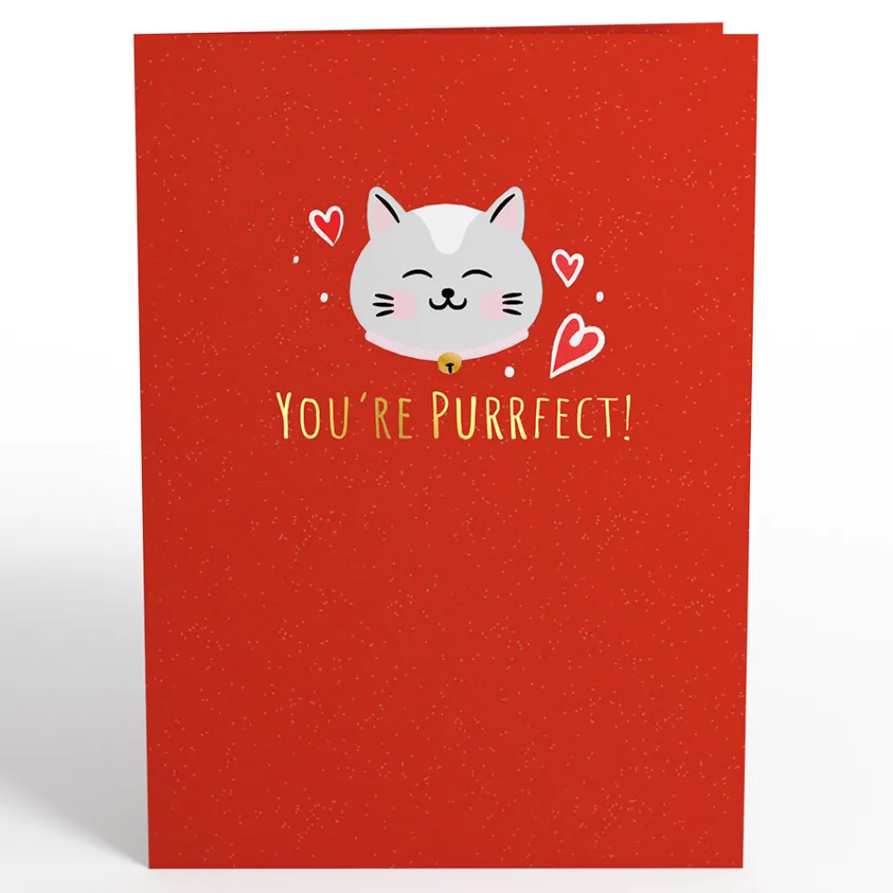 Lovepop Greeting Cards|Anniversary|Love Cats Pop-Up Card