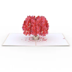 Lovepop Value Packs|Valentine'S Day 2/14|Love-Filled Valentine’s Day 3-Pack
