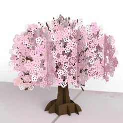Lovepop Value Packs|Just Because|Lovely Blooms 3-Pack