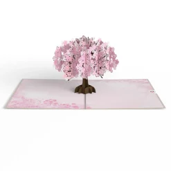 Lovepop Value Packs|Just Because|Lovely Blooms 3-Pack