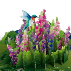 Lovepop Greeting Cards|Get Well|Lupine Hummingbird Pop-Up Card