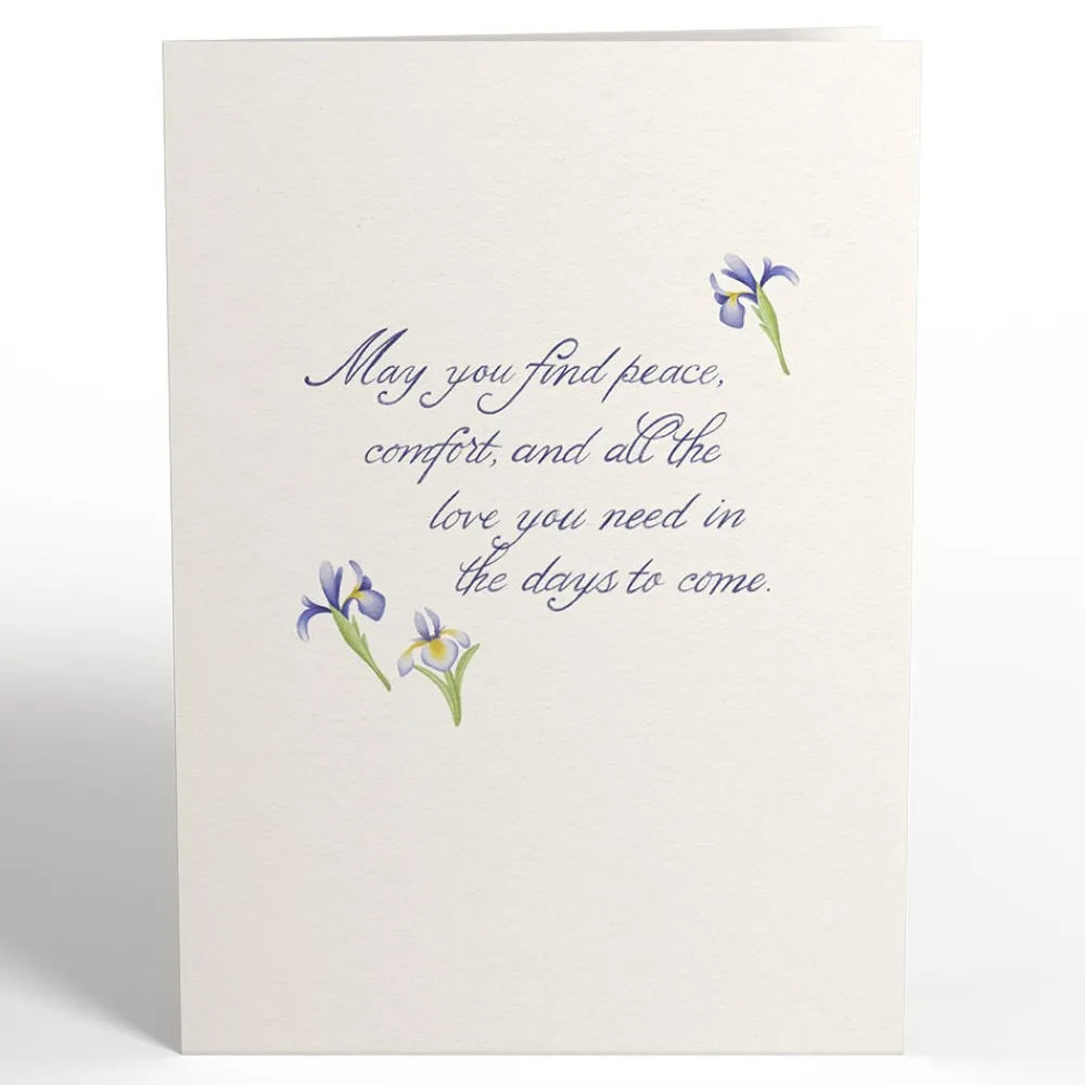 Lovepop Greeting Cards|Sympathy|May You Find Peace and Comfort Sympathy Pop-Up Card