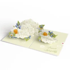 Lovepop Greeting Cards|Sympathy|May You Find Peace and Comfort Sympathy Pop-Up Card