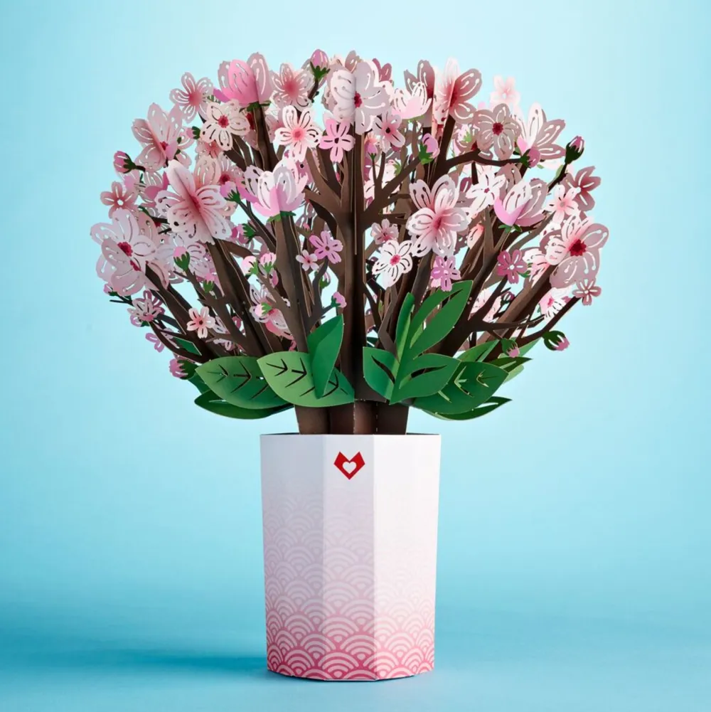 Lovepop Card & Gift Bundles|Mother'S Day 5/11|Mother’s Day Bluebird Cherry Blossom Bundle