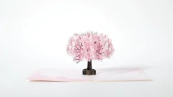 Lovepop Greeting Cards|Mother'S Day 5/11|Mother's Day Cherry Blossom Classic Pop-Up Card