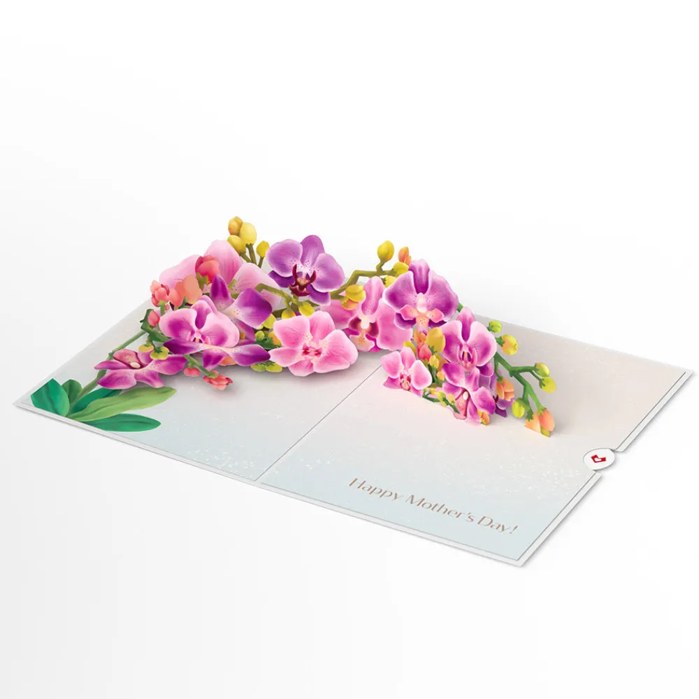Lovepop Value Packs|Mother'S Day 5/11|Mother’s Day Elegant Florals 3-Pack