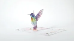 Lovepop Greeting Cards|Mother'S Day 5/11|Mother's Day Hummingbird Pop-Up Card