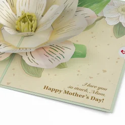 Lovepop Greeting Cards|Mother'S Day 5/11|Mother’s Day Magnolia Pop-Up Card