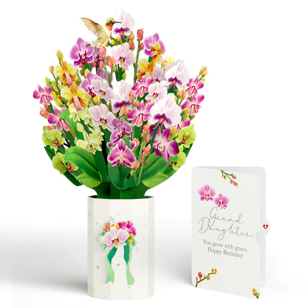 Lovepop Pop-Up Bouquets|Orchid Birthday Bouquet and Sentiment Set for Granddaughter