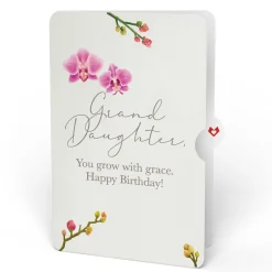 Lovepop Pop-Up Bouquets|Orchid Birthday Bouquet and Sentiment Set for Granddaughter
