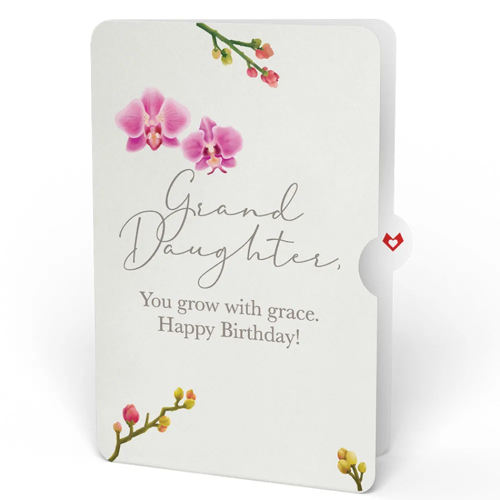 Lovepop Pop-Up Bouquets|Orchid Birthday Bouquet and Sentiment Set for Granddaughter